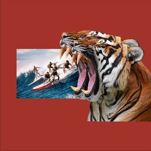 Meet your Posher, Hailey